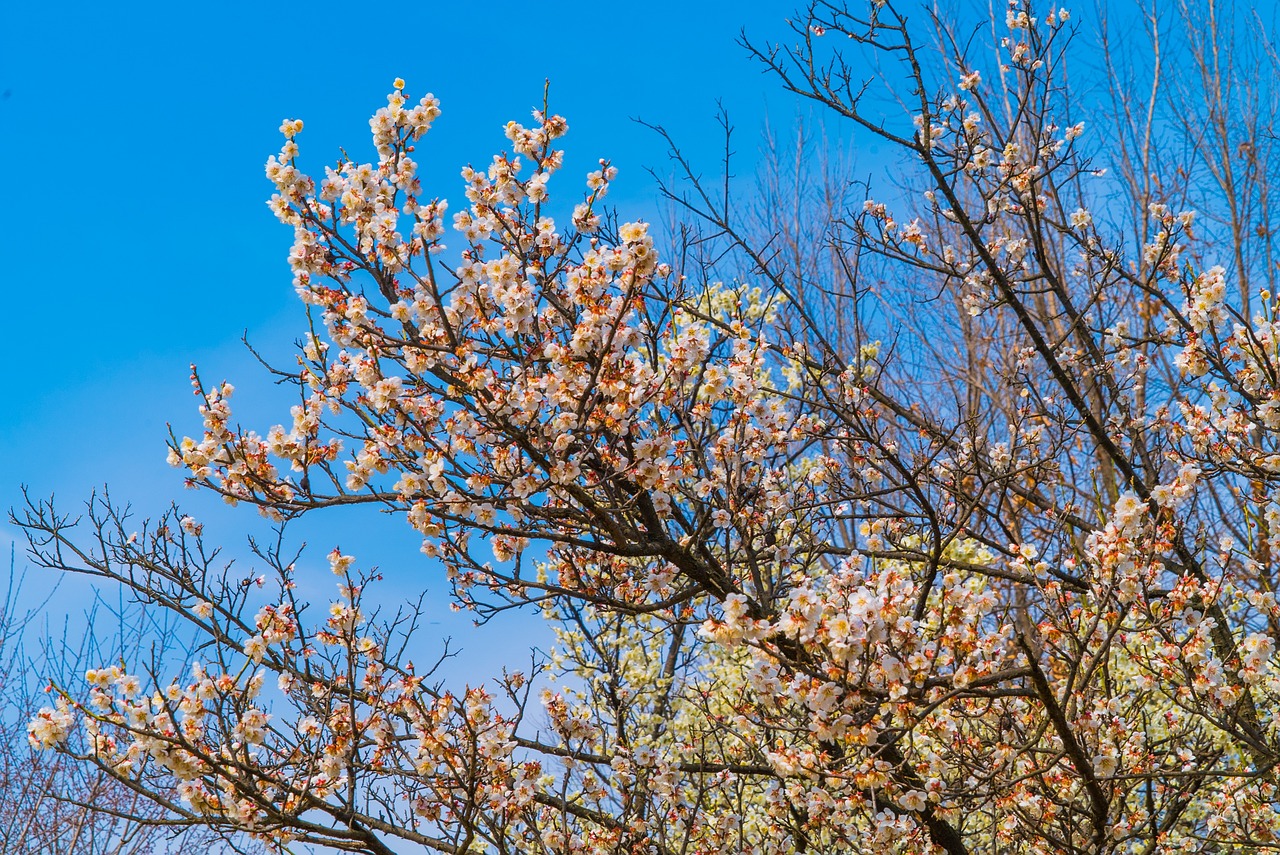 속초 가볼만한곳 베스트10 3