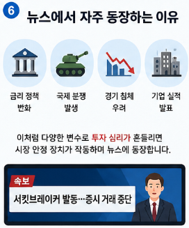 코스피 급락하면 왜 거래가 멈출까? 서킷브레이커와 사이드카 쉽게 이해하기6