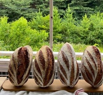 춘천숲속빵집