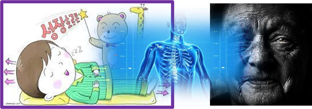 성장호르몬 소아 성장 발육과 성인 노화