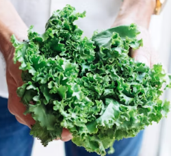 백내장에 좋은 음식 영양제 식단