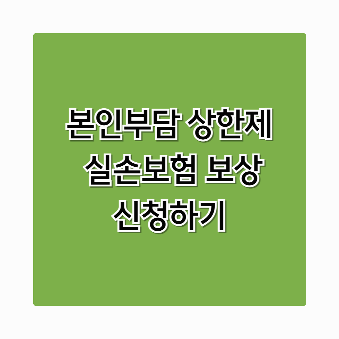 본인부담 상한제 실손보험 보상, 확인하고 바로 신청하세요