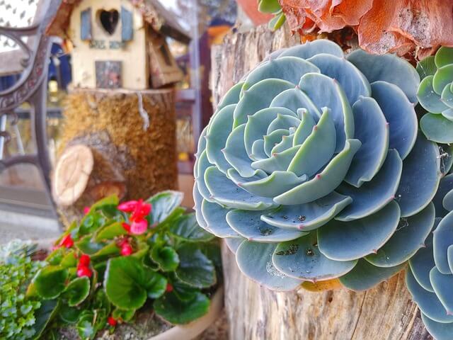 생산관리지역 계획관리지역 차이점&amp;#44; 토지 매수 전 꼭 알아야 할 기준