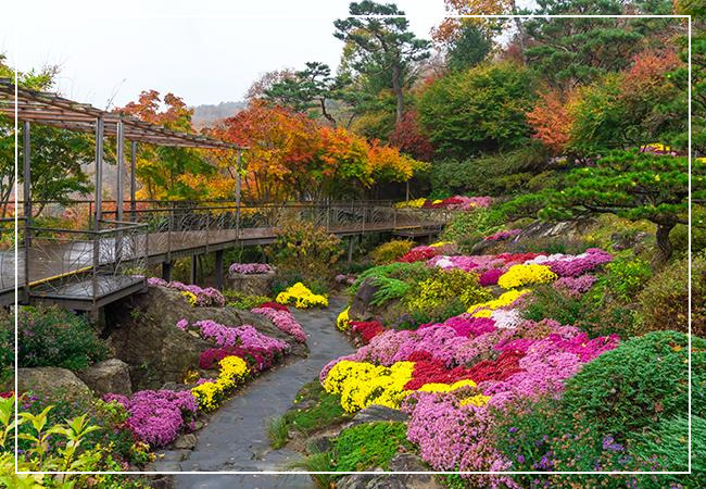 화담숲 이미지 / 출처: 화담숲 홈페이지