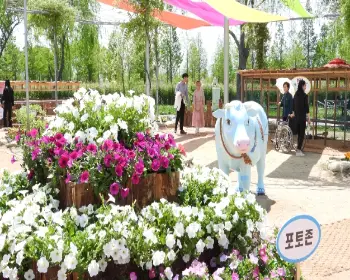 함평 나비축제_18