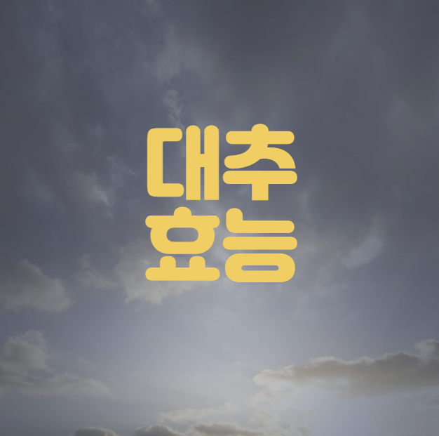 대추 효능