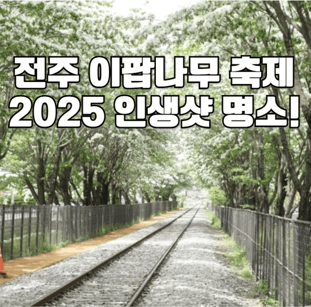 전주 이팝나무 축제 2025 인생샷 명소 팔복동 철길