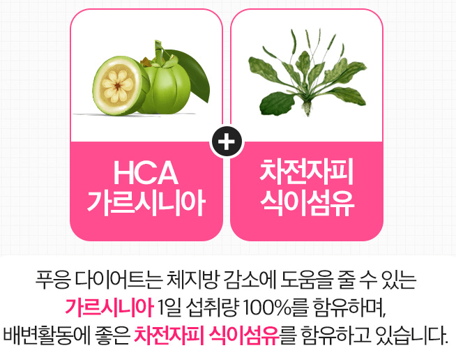 푸응-다이어트-성분