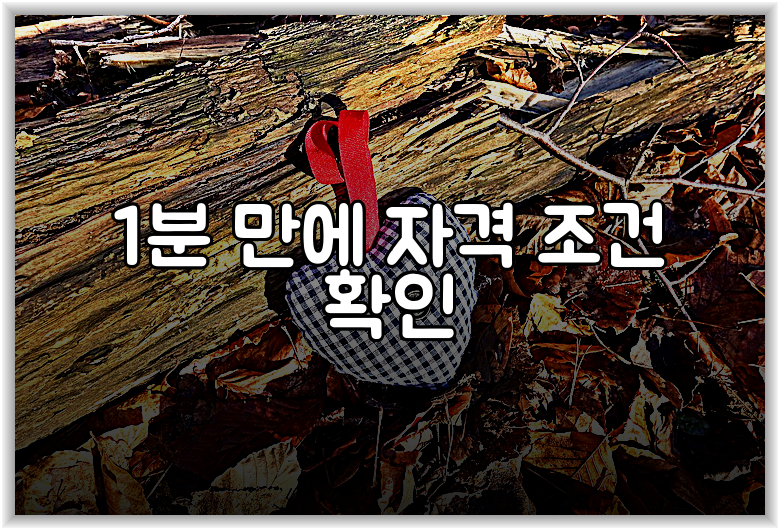 1분 만에 자격 조건 확인