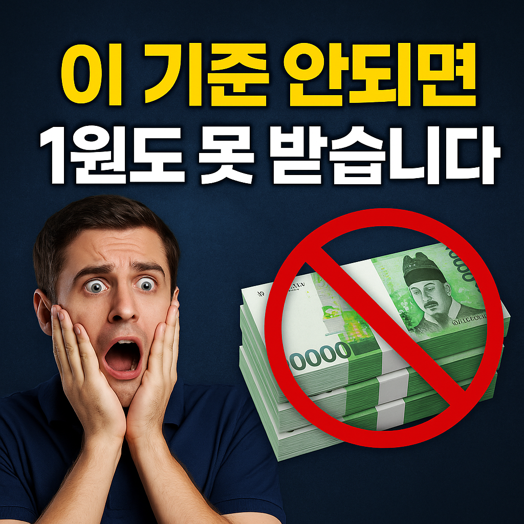 2025 2차 민생지원금