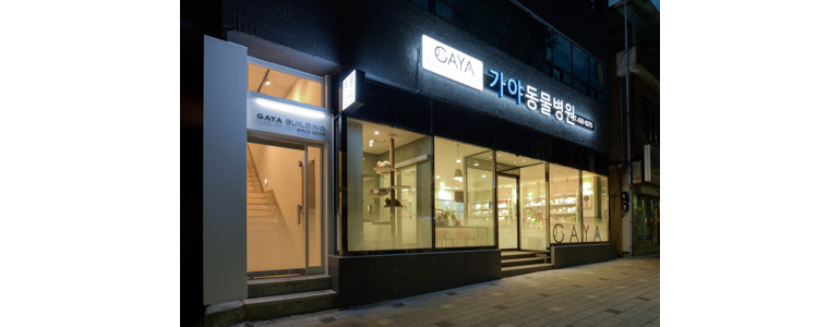 김천시 동물병원