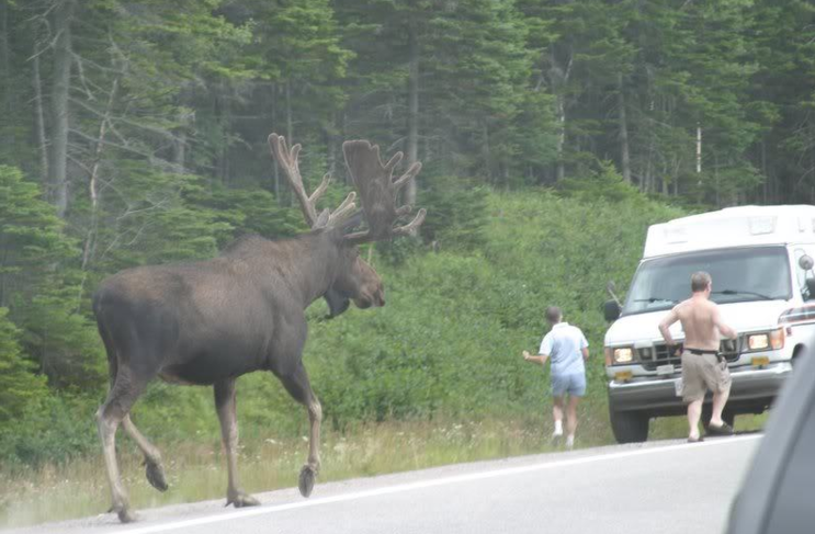 지록위마 뜻&amp;#44; 指鹿爲馬 유래 4