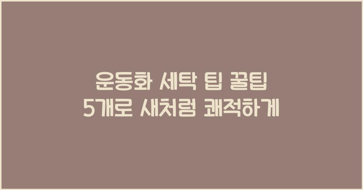 운동화 세탁 팁 꿀팁 5개