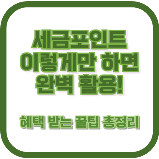 세금포인트, 이렇게만 하면 완벽 활용! 혜택 받는 꿀팁 총정리