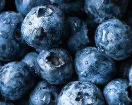 블루베리 효능