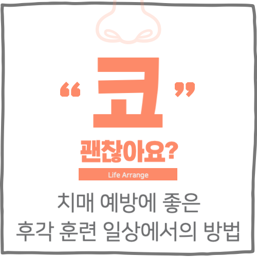 차매 예방에 좋은 후각 훈련