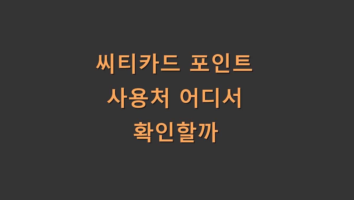 씨티카드 포인트 사용처 확인방법