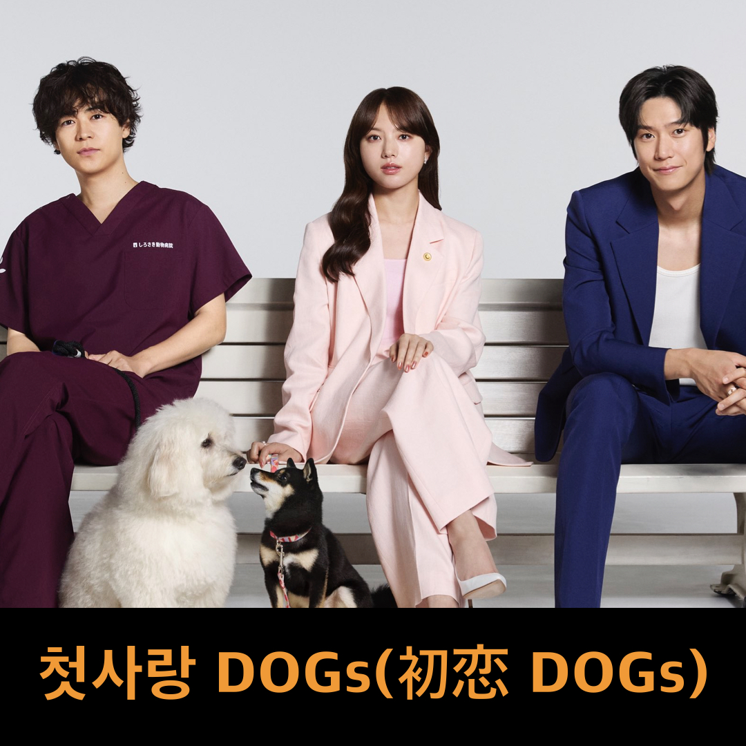 하츠코이도그즈