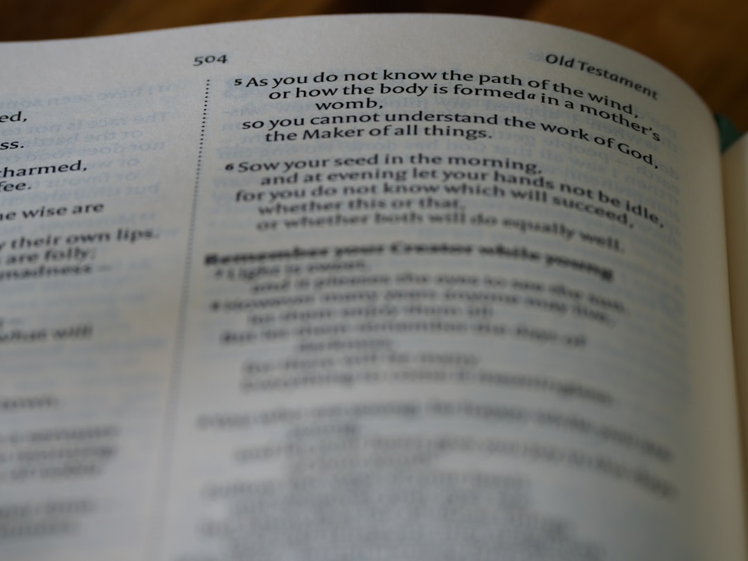 검사서 (examination report)