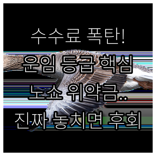 내 항공권 수수료는? 운임 등급과 노..