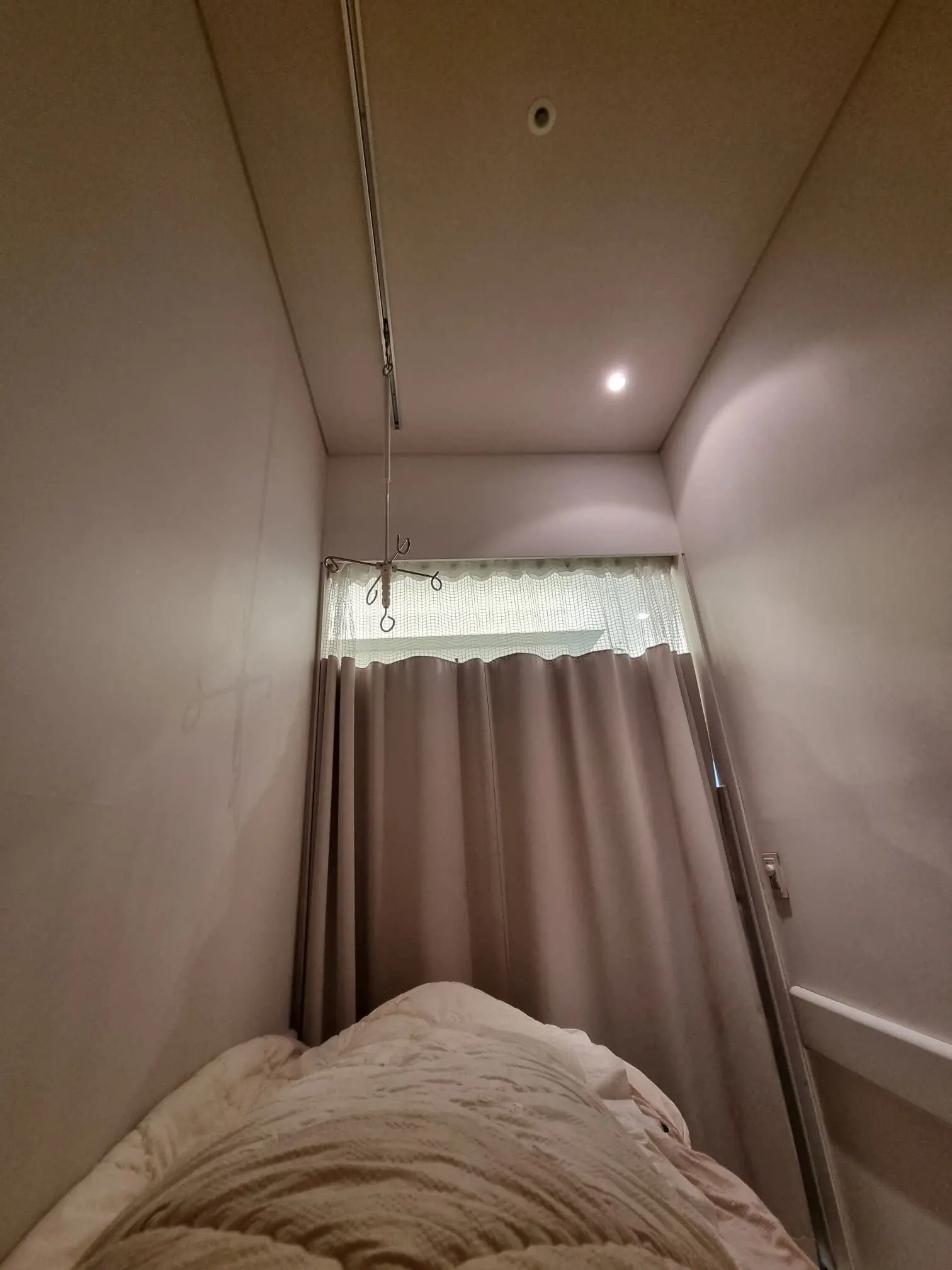 시험관 시술 4일배양 2개 이식