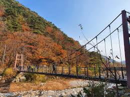 설악산 오색약수 주차장 꿀팁