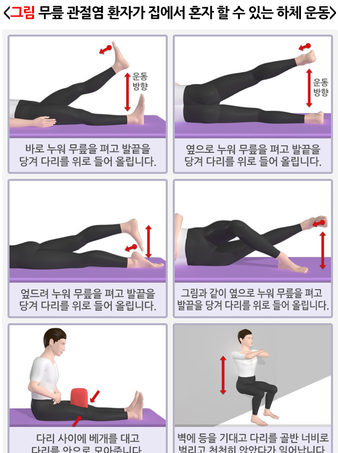 관절건강운동법