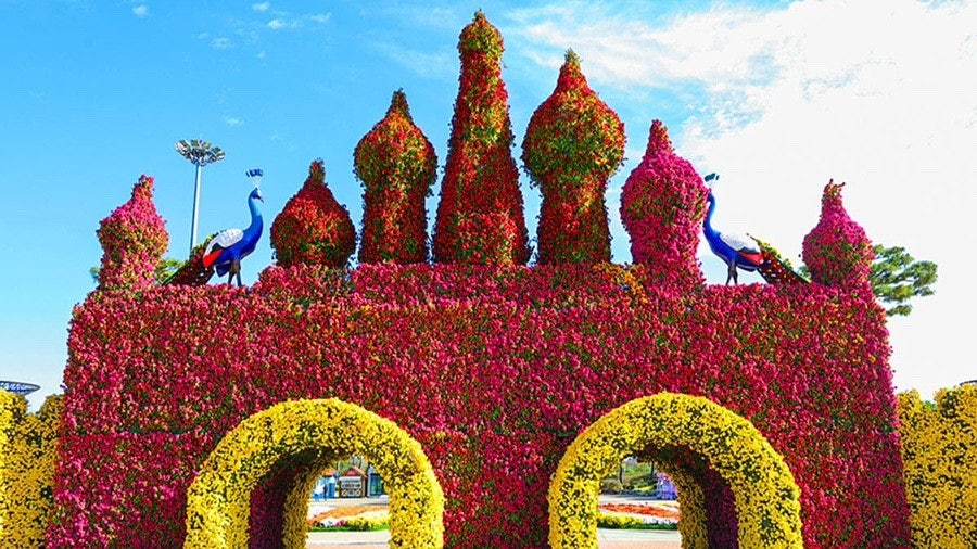 2025 대한민국 국향대전｜&ldquo;마법의 국향랜드&rdquo; 가을 축제 완전정리 관련 사진