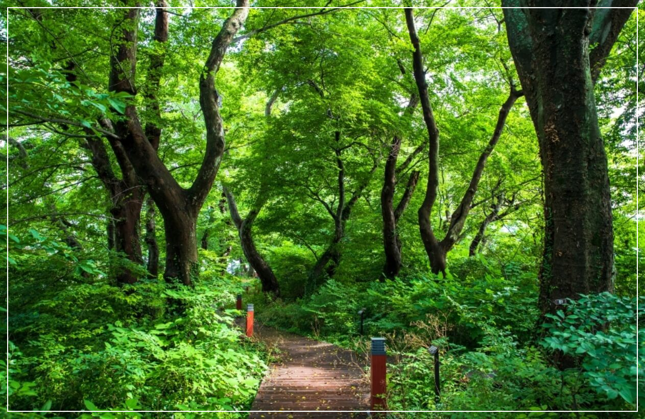 남해 가볼만한곳 베스트10 물건 방조어부림