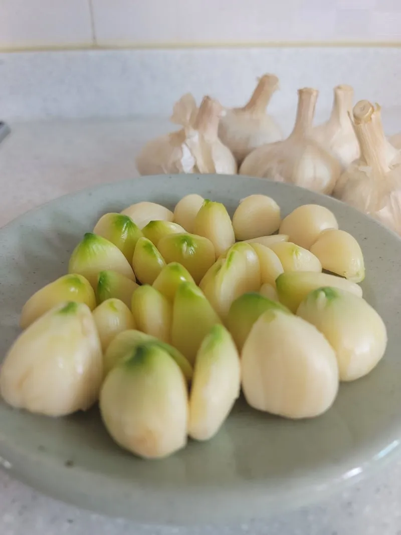 홍산마늘 효능 수확시기 재배법 주아 정리 정보_1