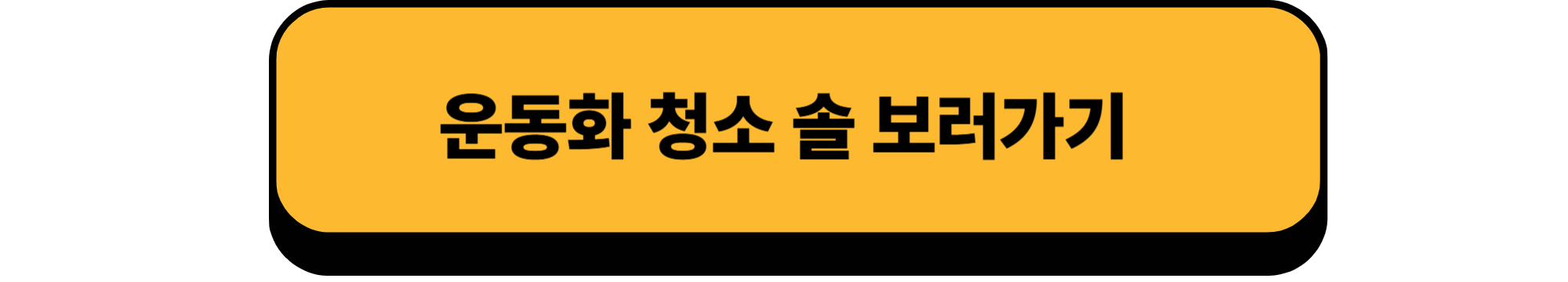 바이칸 솔