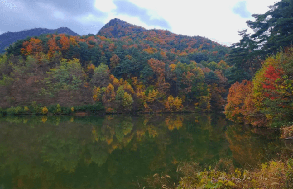 팔공산 단풍 단풍길 코스,