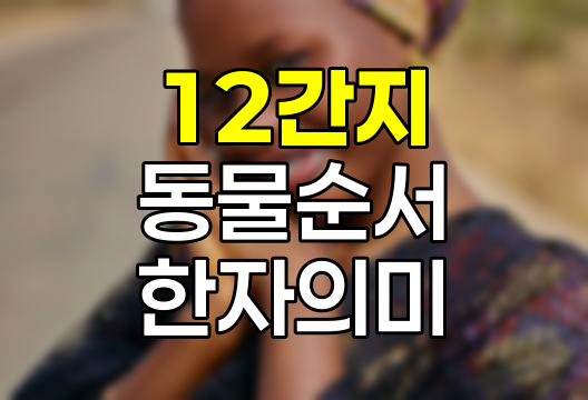 12간지, 동물 순서, 시간, 한자, 오행, 그리고 유래에 대한 심층 분석