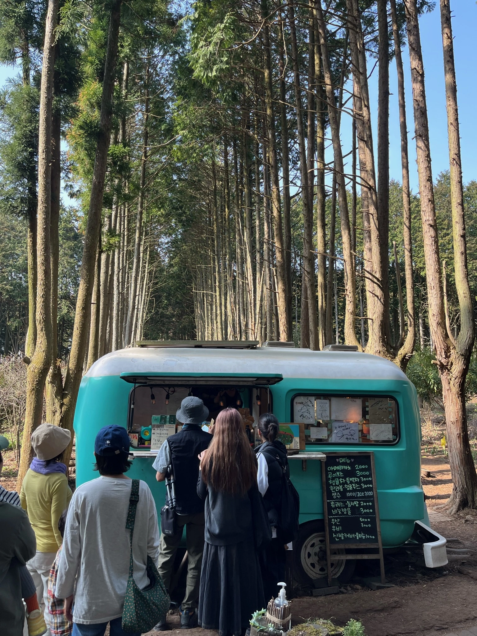 제주 안돌오름 비밀의 숲