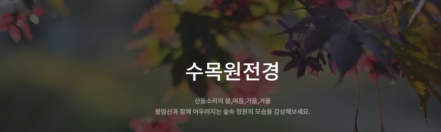 [서울 근교 여행지]산들소리 수목원 &amp; 낭만등불축제 후기