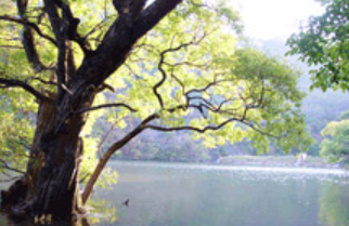 청송-가볼만한곳