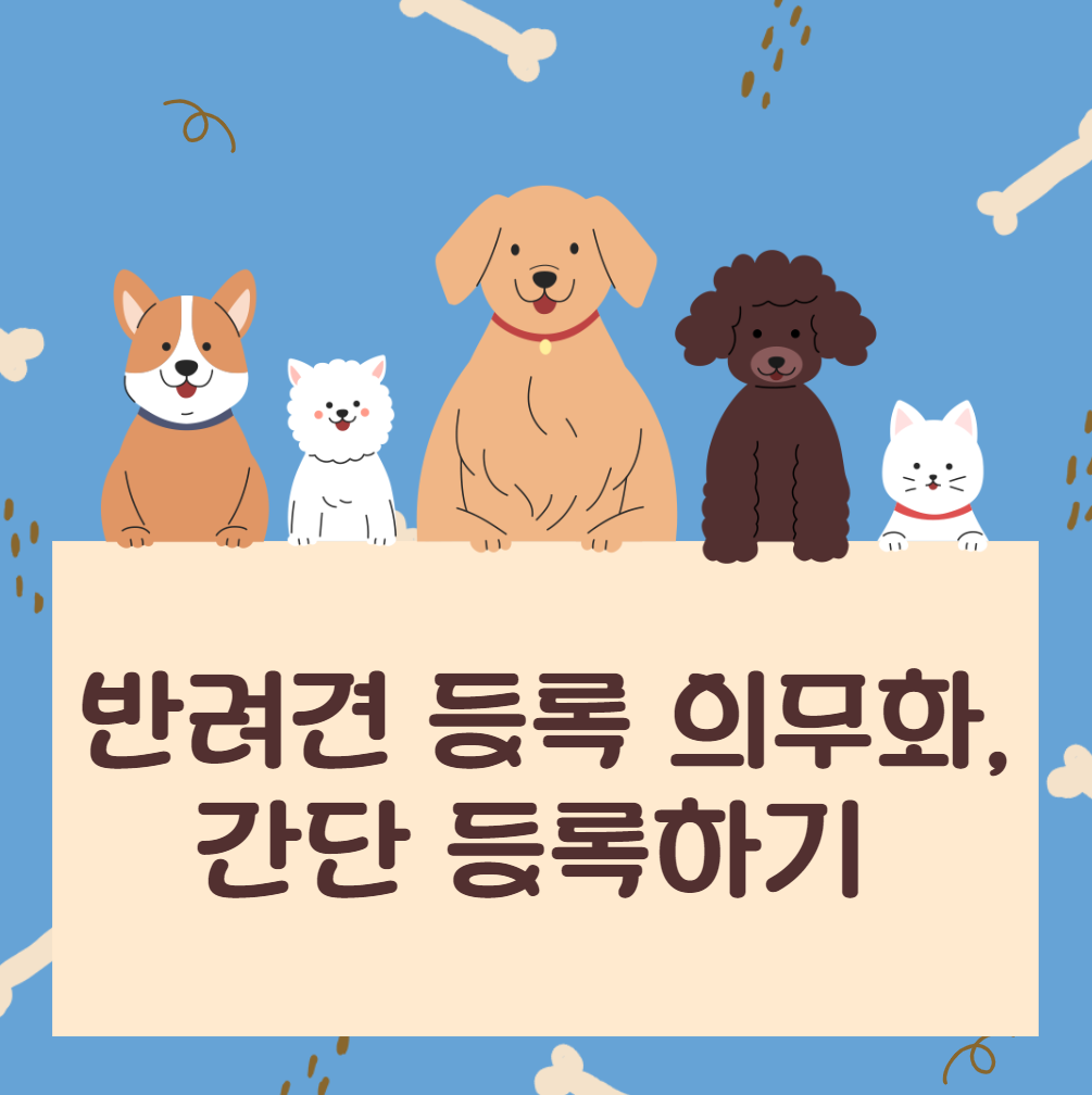 반려견-등록-절차-알아보기