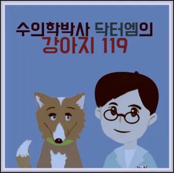 노령견 신부전2기 자연식 화식 레시피 건강식_22