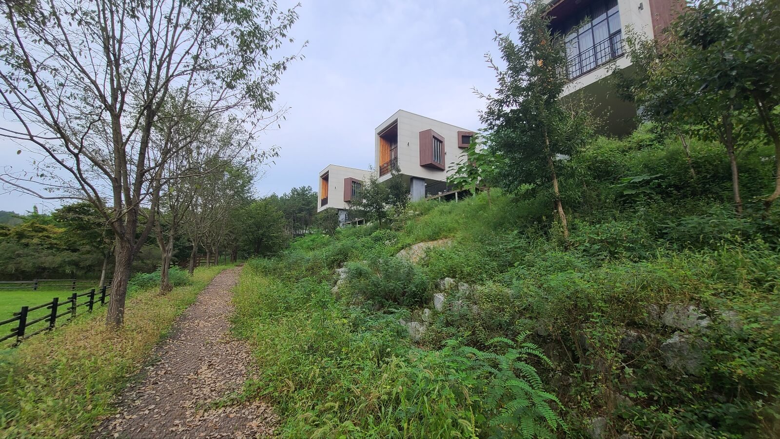 산책로2