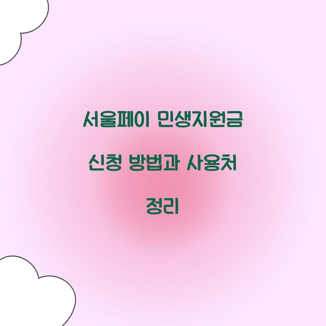 서울페이 민생지원금