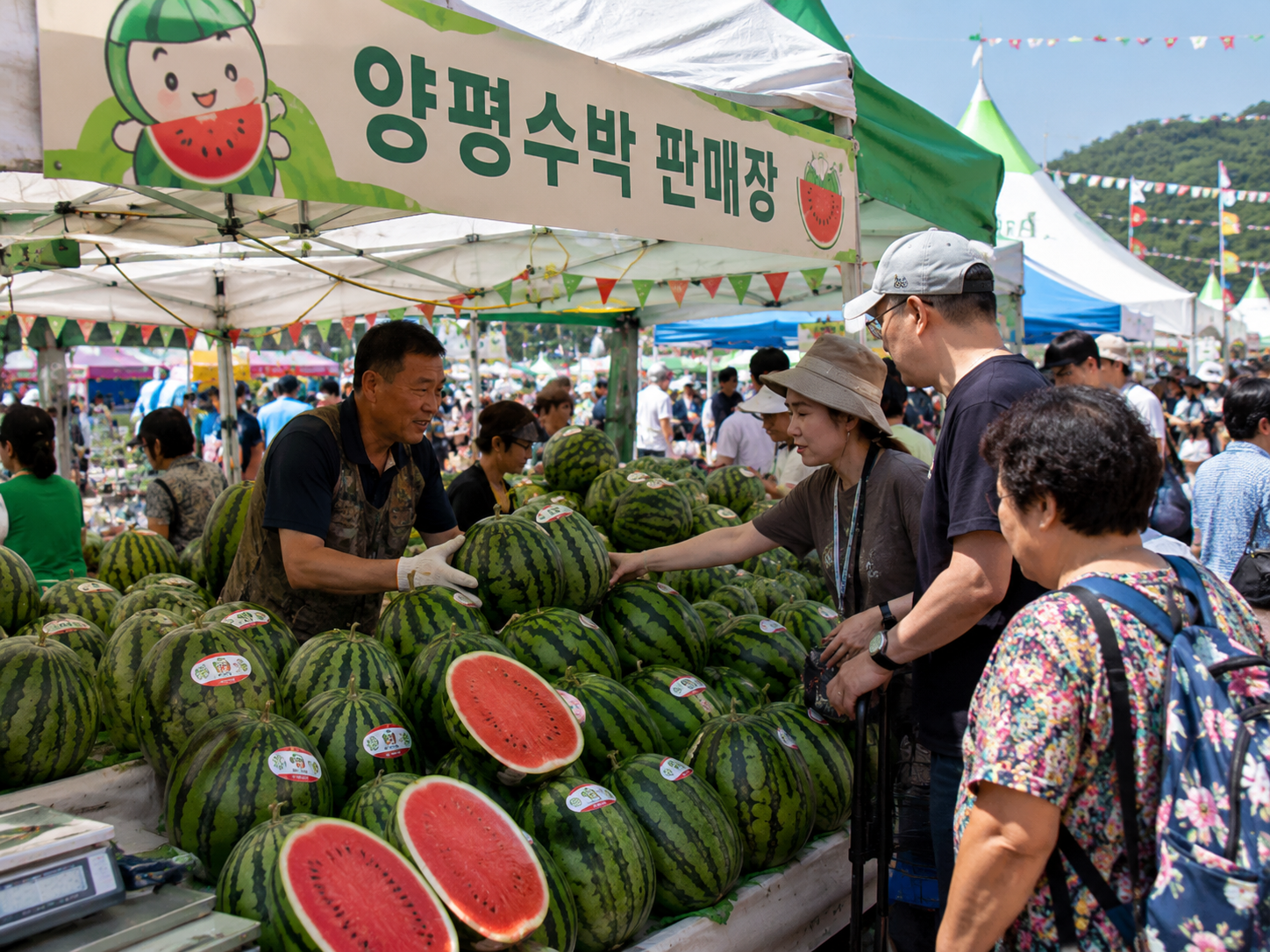 2026 양평수박축제(양평청운수박축제) 일정 주차 물놀이 라인업 총정리