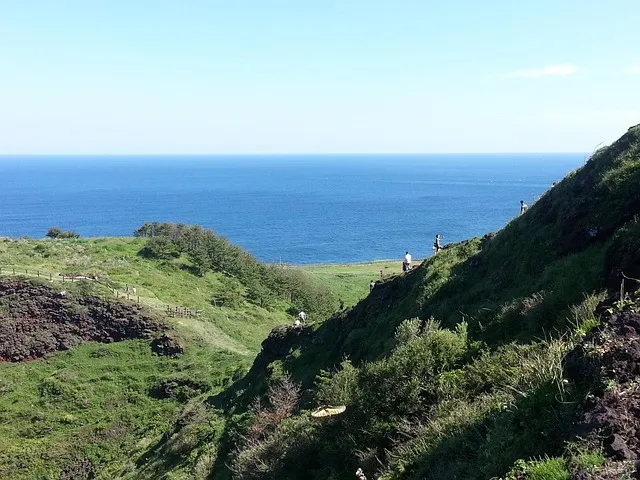 치악산 등산코스와 등산지도 정리_3