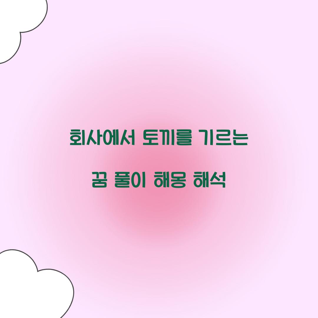 회사에서 토끼를 기르는 꿈 풀이 해몽 해석