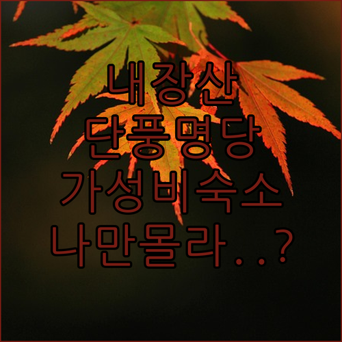 정읍 내장산 단풍 구경 갈 때 머물기..