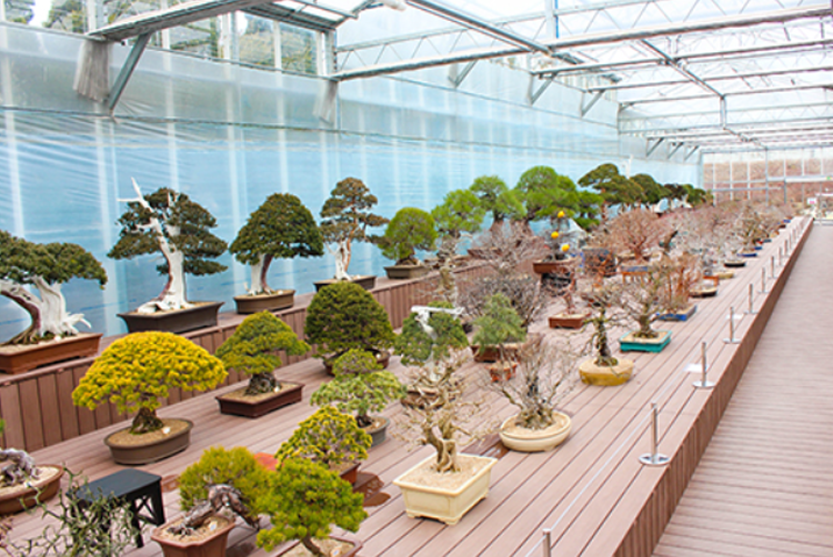 세종 베어트리파크 수목원