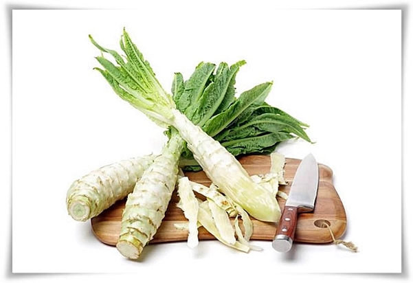 텃밭 "궁채(줄기상추)" 황제가 사랑한 채소, 건강과 맛을 다 잡는 비법!