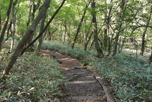 관음사29