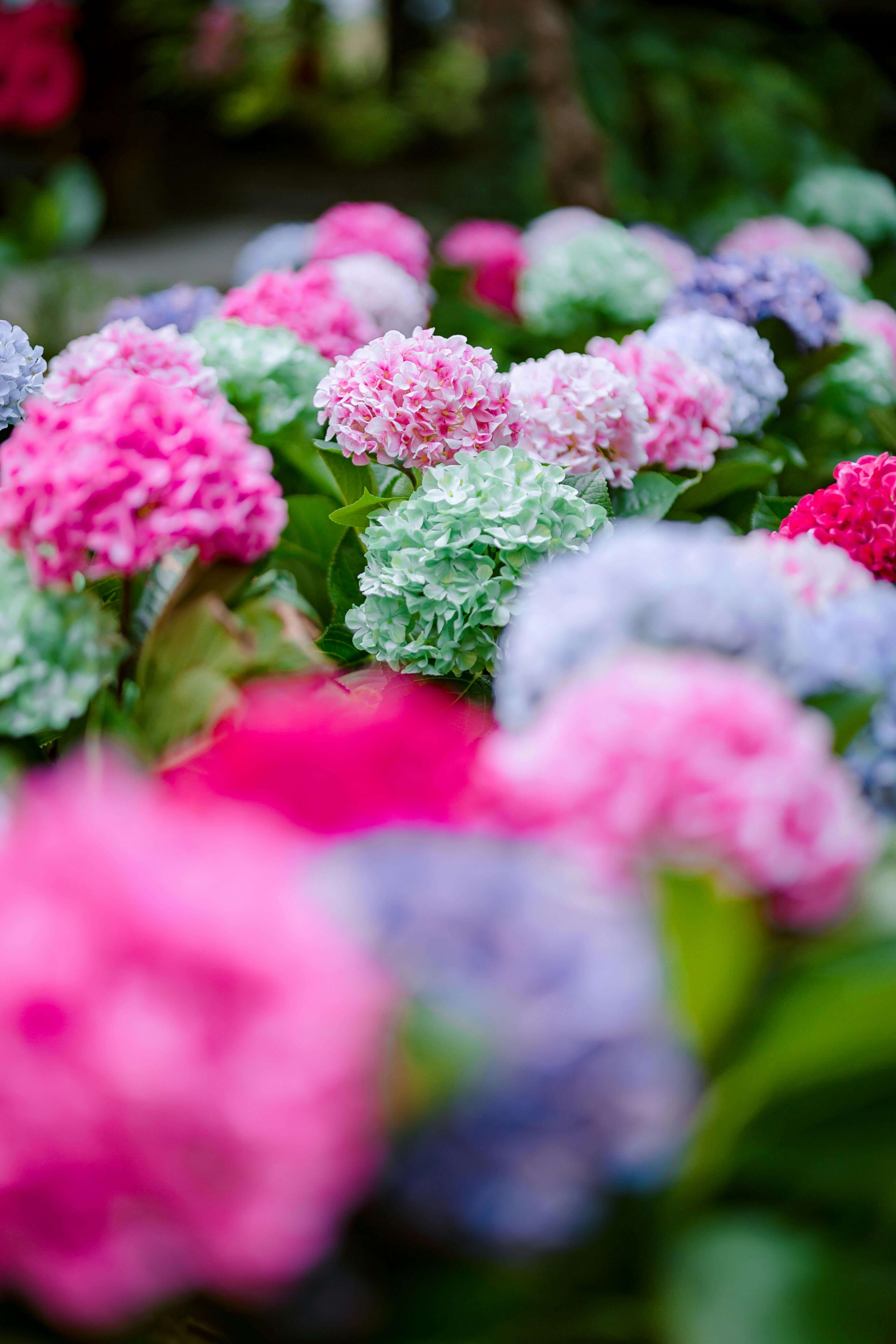 금선사 템플스테이 예약 방법 일정 총정리