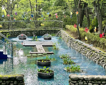 비슬산 자연휴양림_10