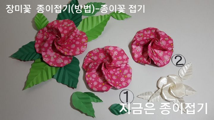 두 가지 모양의 장미꽃 모양입니다.